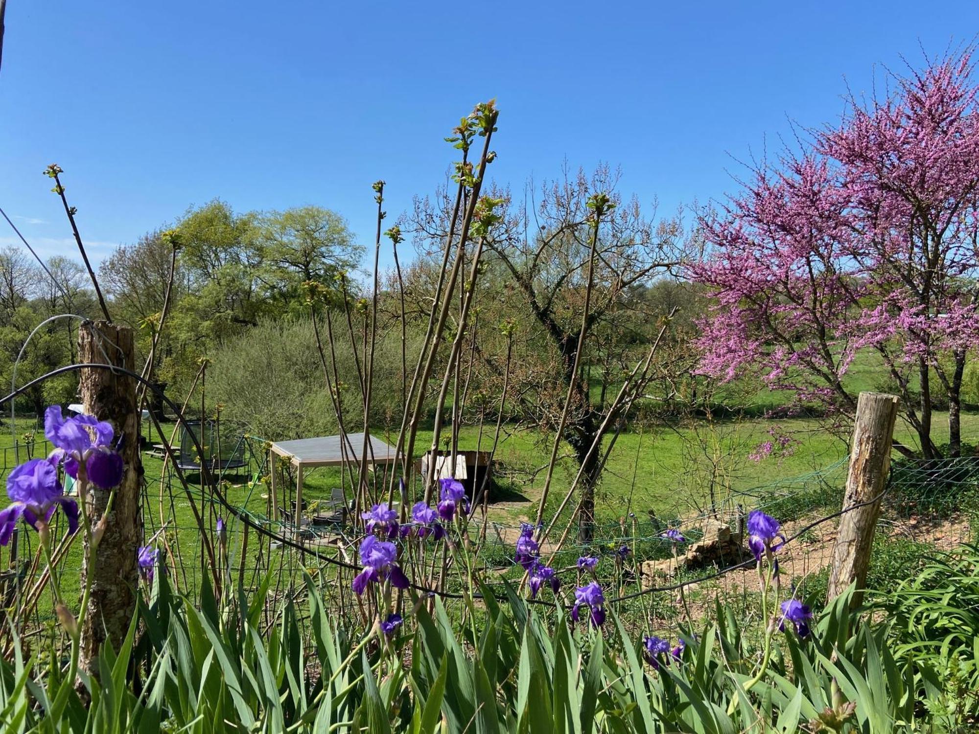Le Petit Moulin Hotel Pouzauges Luaran gambar